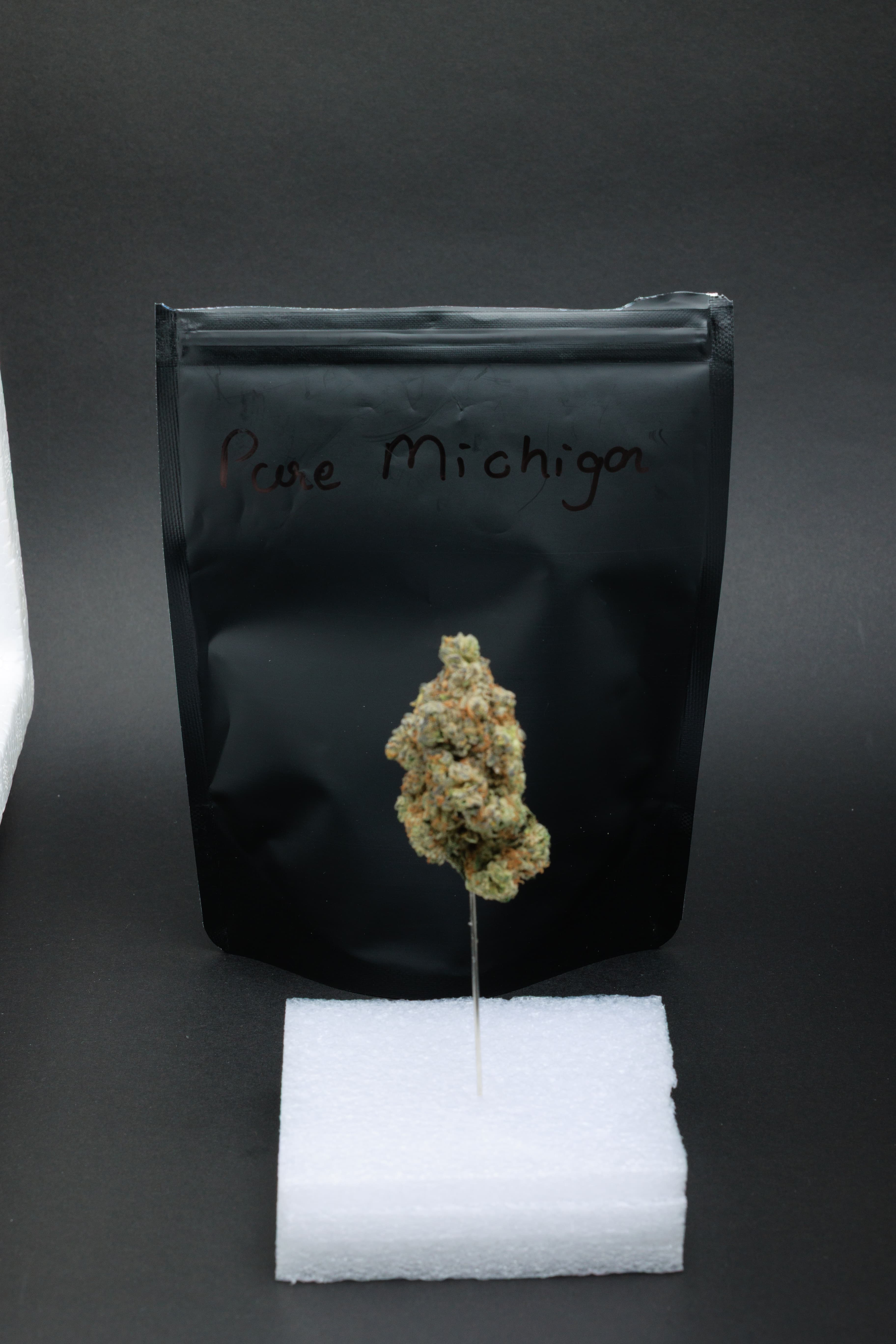Pure Michigan