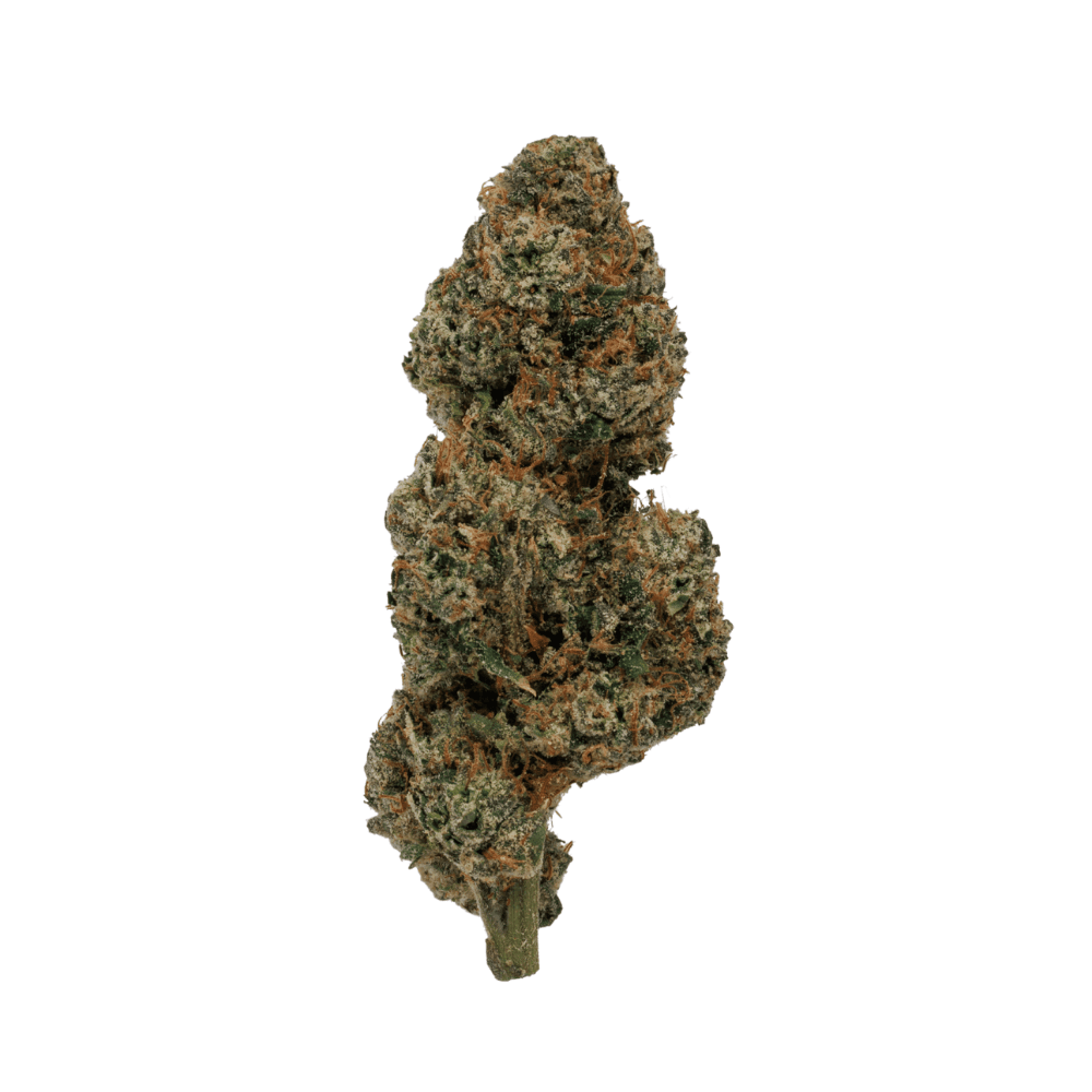 Lemon Cherry Gelato