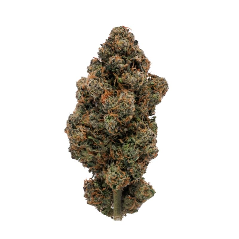 Gelato 33