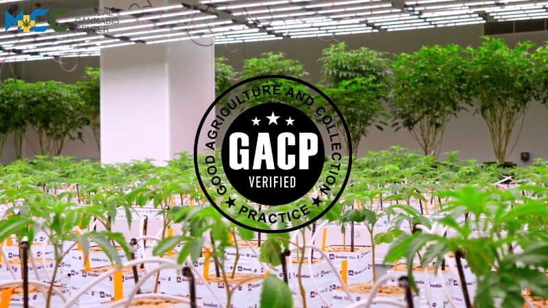 MCC Achieves GACP Accreditation